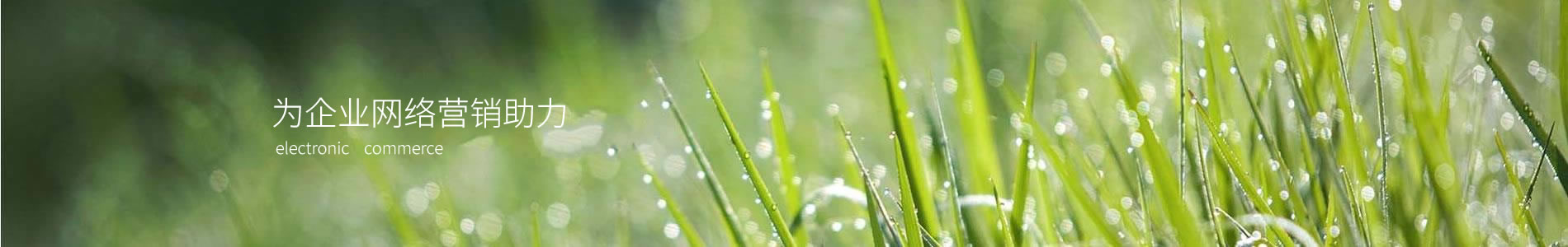 ǱƼչ޹˾
